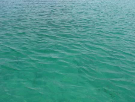 Apr�s cette longue absence.............