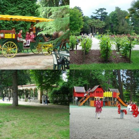 Le jardin Massey toujours