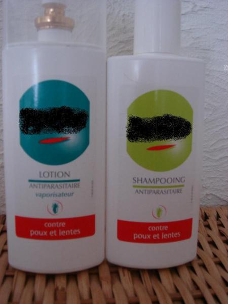 Les poux sont de retour !