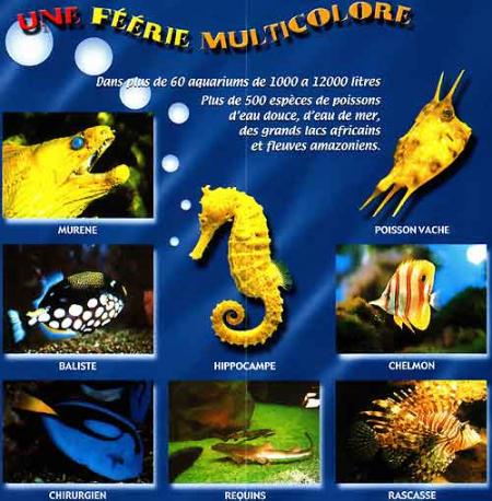 Visite de l'aquarium de Pierrefitte